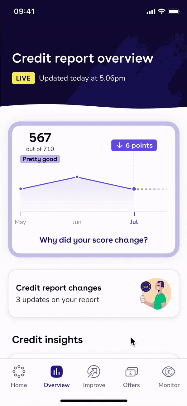 Credit report overview