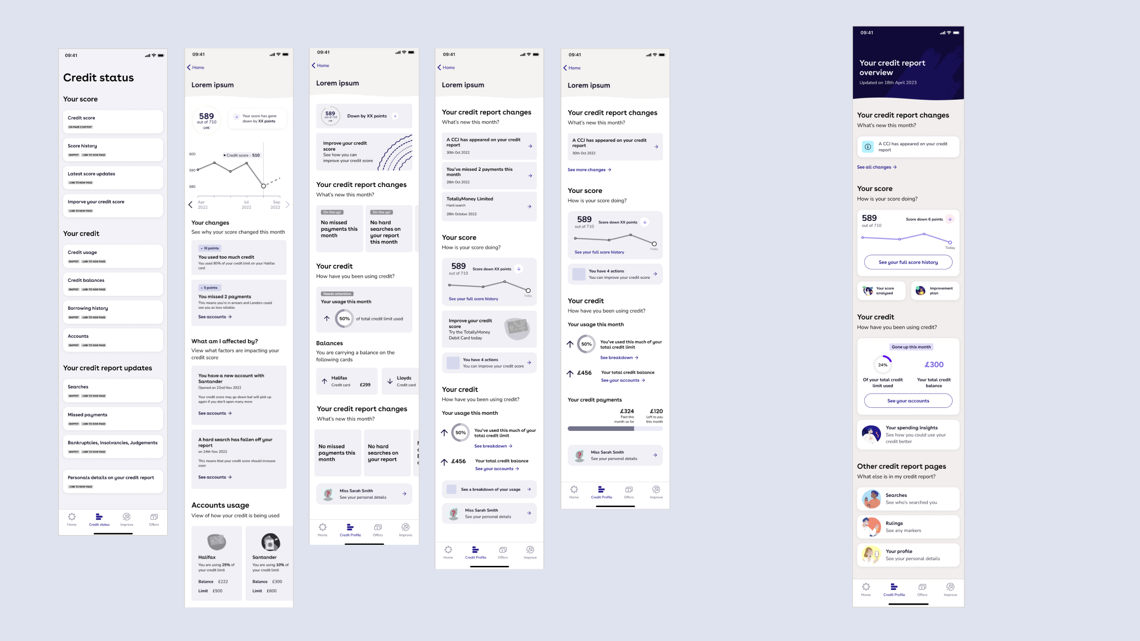 Credit report overview