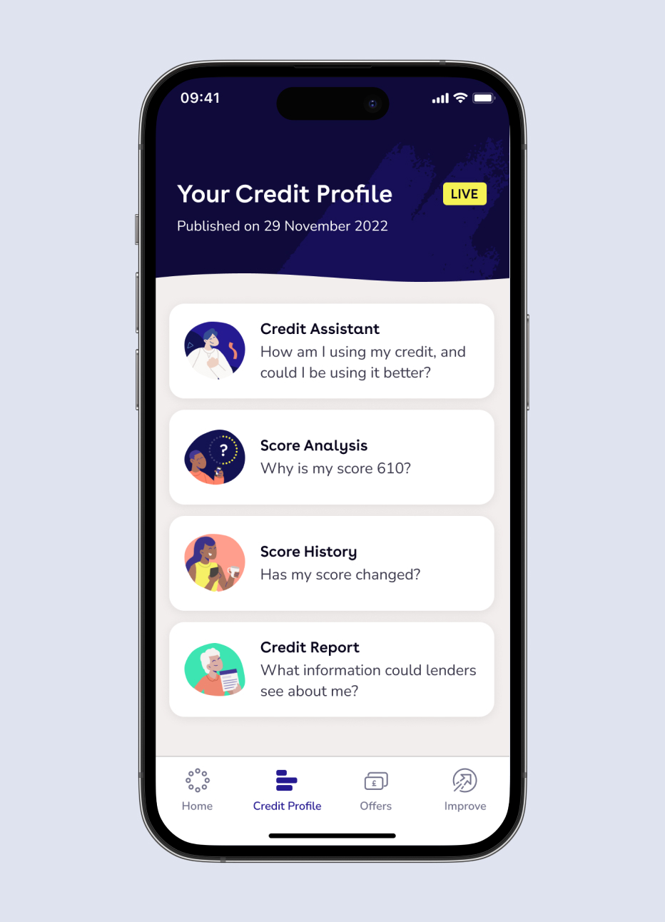 Credit report overview