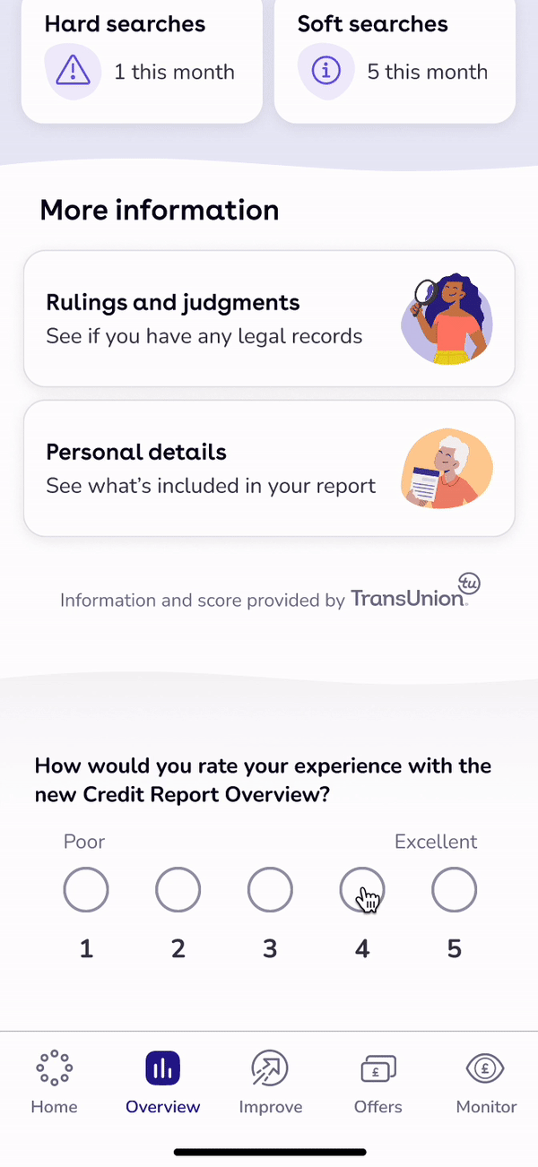 Credit report overview