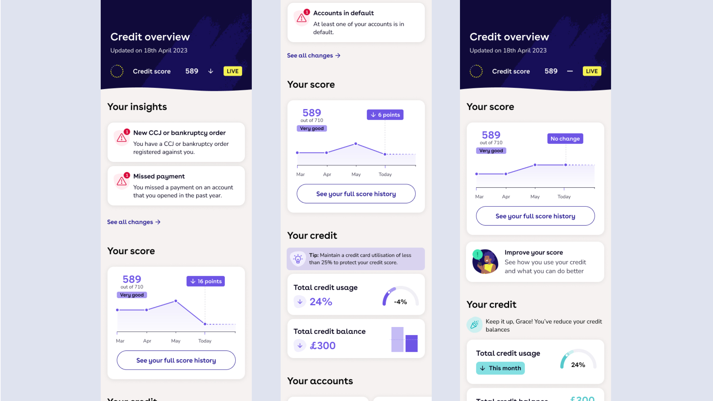 Credit report overview