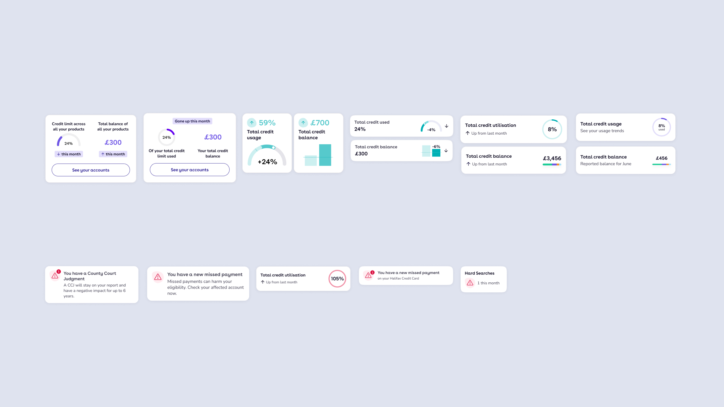 Credit report overview